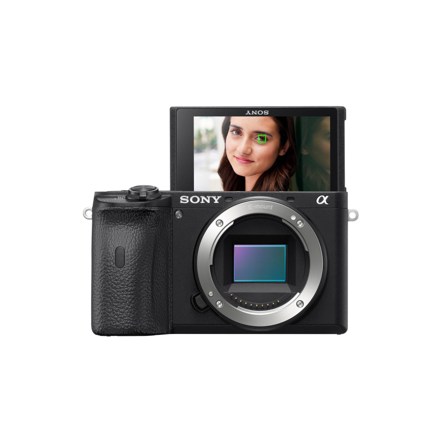 Sony a6600 Mirrorless Camera
